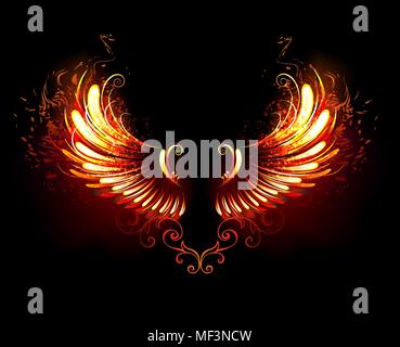 Wings of fire and flame on black background. Stock Vector