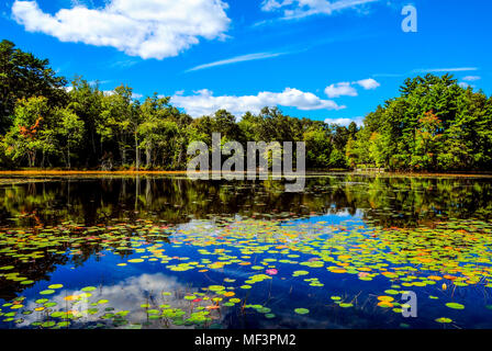 Fall in New England USA Stock Photo