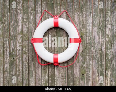 Ring buoy on a green wooden wall Stock Photo