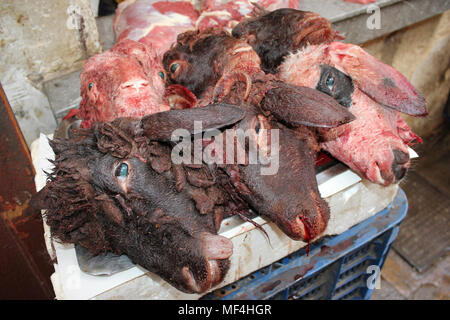 Sheep Heads at a Butchers Stall, Morocco Stock Photo