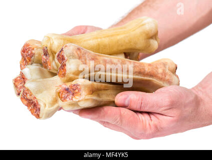 Hand with dog bone Stock Photo