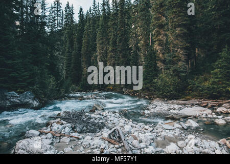 Canada, British Columbia, Columbia-Shuswap A, Glacier-Nationalpark, Illecillewaet River Stock Photo