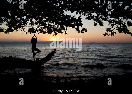 Silhouette of a woman practicing the tree yoga pose on a beach a Stock  Photo by ©Kzenon 181316778