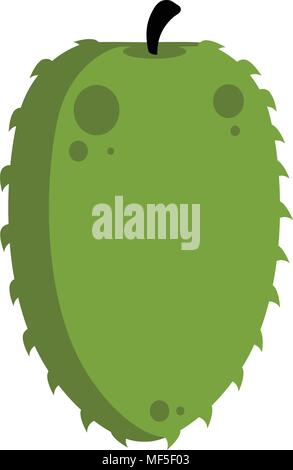 Isolated soursop icon Stock Vector