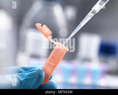 Scientist pipetting a sample into a eppendorf tube Stock Photo