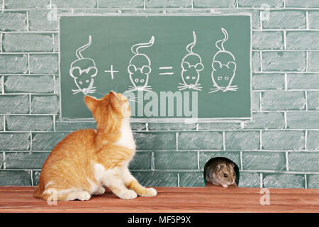 Education idea about foxy Cat studied mathematics on example of addition of mice Stock Photo