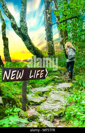 New life motivational phrase on wooden sing with person walking on forest stone road into the sunset. Copy space. Change concept. Stock Photo