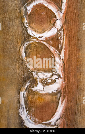 Wooden background with white paint circles on Tenerife island in Spain Stock Photo