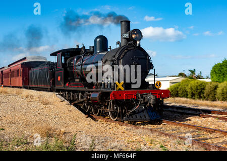 The iconic 207 Goolwa cockle steam train passing the Middleton train station Stock Photo