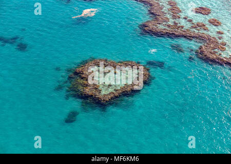 Coral Reef, Heart Reef, part of Hardy Reef, Outer Great Barrier Reef, Queensland, Australia Stock Photo