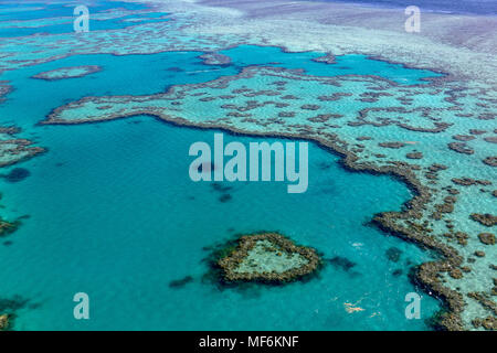 Coral Reef, Heart Reef, part of Hardy Reef, Outer Great Barrier Reef, Queensland, Australia Stock Photo