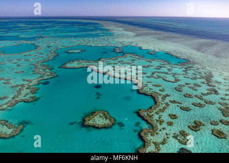 Coral Reef, Heart Reef, part of Hardy Reef, Outer Great Barrier Reef, Queensland, Australia Stock Photo