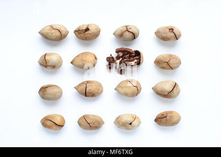 Group of pecan nuts with one cracked isolated on white background Stock Photo