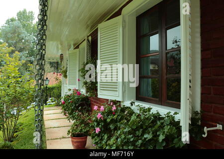 White french shutters with flowers below Stock Photo