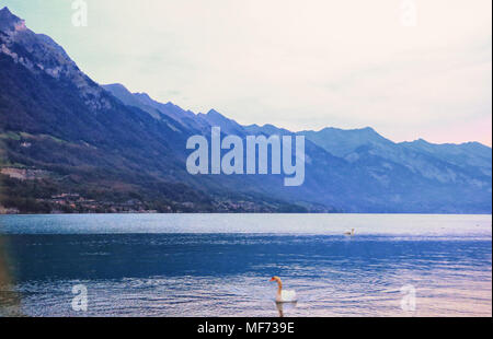 scenery of Lake Brienz in the district of Interlaken Stock Photo