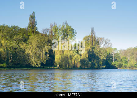 spring lanscape by lake Skaryszewski Park in Warsaw Stock Photo