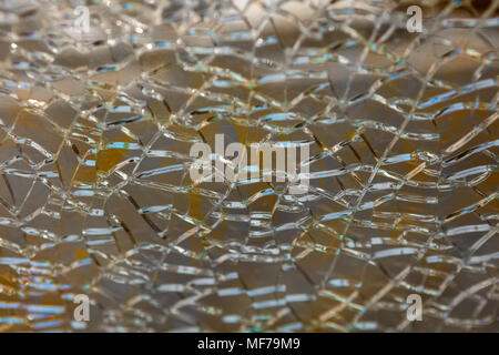Broken tempered glass close up , background of glass was smashed Stock Photo