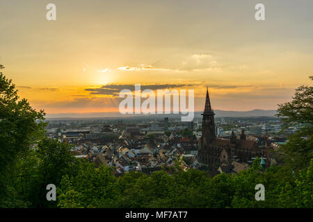 Germany, City Freiburg im Breisgau aerial view through green trees in warm sunset light Stock Photo