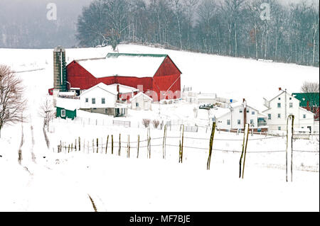 Amish Farm in Ohio Amish Country, USA Stock Photo