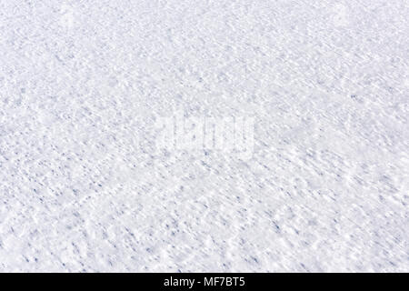 Close-up of bright white snow texture or background, surface of the snow in perspective Stock Photo