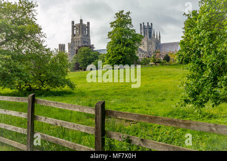 View of the Ely Cathedral from Cherry Hill Park in Ely, Cambridgeshire, Norfolk, UK Stock Photo