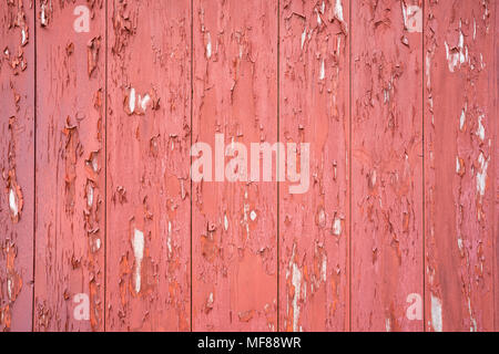 Old Weathered Red Barn Siding Planks with Peeling Paint Stock Photo