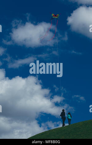 Children flying a kite Stock Photo