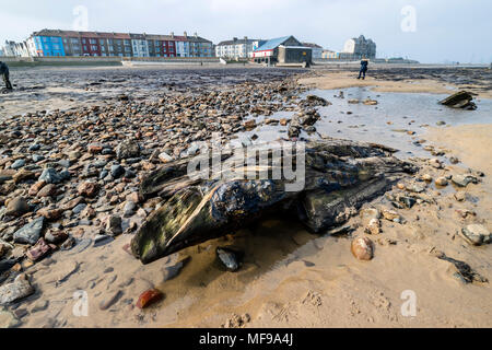 Old Ship Wreck with the Remains of a 7,000 Forest and Peatland Uncovered by Storm Emma in March 2018 Behind, Redcar Beach, Cleveland, UK, Stock Photo