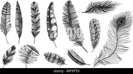 Set of Rustic realistic feathers of different birds, owls, peacocks, ducks. engraved hand drawn in old vintage sketch. Vector illustration. Stock Vector