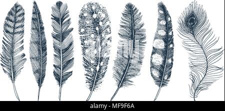 Set of Rustic realistic feathers of different birds, owls, peacocks, ducks. engraved hand drawn in old vintage sketch. Vector illustration. Stock Vector