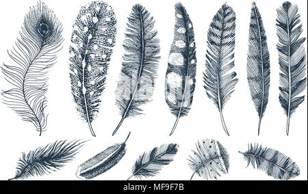 Set of Rustic realistic feathers of different birds, owls, peacocks, ducks. engraved hand drawn in old vintage sketch. Vector illustration. Stock Vector