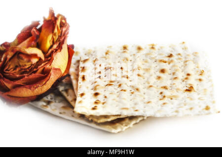 Matza and orange dry rose isolation on white for holiday Stock Photo