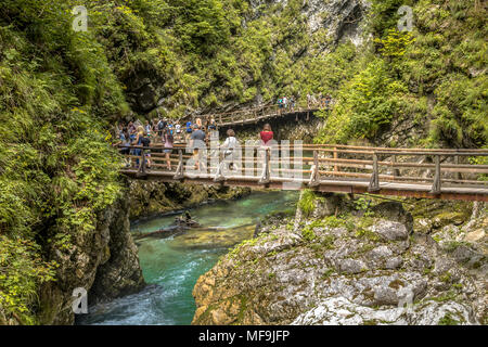 Soteska vintgar gorge with tourists walking on boardwalk along river valley Stock Photo