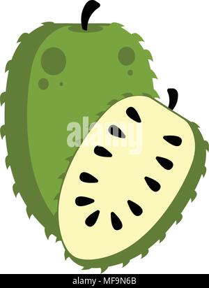 Isolated soursop fruit Stock Vector