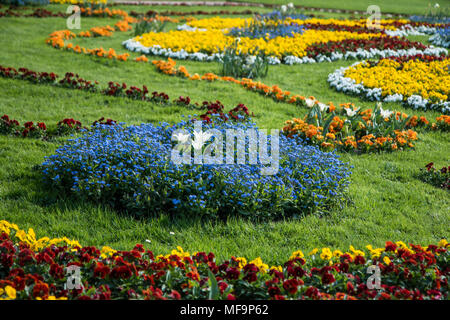 A detail picture of a castle garden decorated with a lot of flowers in Dresden, Germany. Pictured during the sunny spring afternoon. Stock Photo