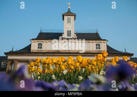 A detail picture of a castle garden decorated with a lot of flowers in Dresden, Germany. Pictured during the sunny spring afternoon. Stock Photo