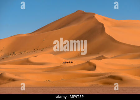 Camel Train, Erg Chebbi Desert, Western Sahara, Morocco Stock Photo