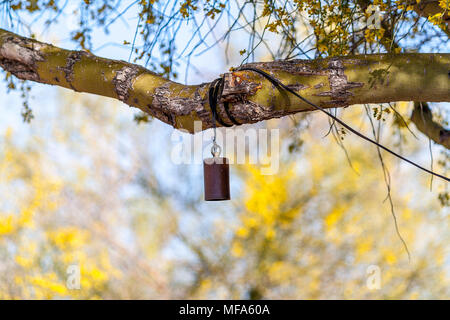 hanging string lights in branches in the desert Stock Photo