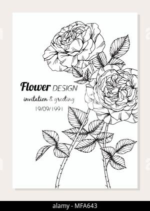 Rose flower frame drawing  illustration for invitation and greeting card design. Stock Vector