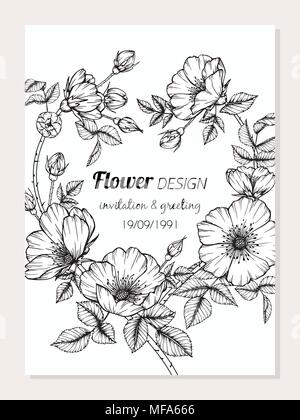 Dog rose flower frame drawing illustration for card design. Stock Vector