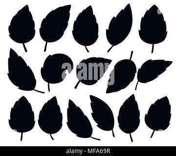 Set of black leaves. Various shapes of leaves of trees and plants. Floral, foliage design elements. Vector illustration isolated on white background.  Stock Vector