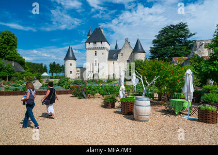 Rivau Castle, Lémeré, Indre-et-Loire Department, The Loire Valley, France, Europe Stock Photo