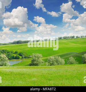 picturesque green field and blue sky Stock Photo