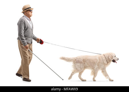Full length profile shot of a blind mature man walking with the help of a dog isolated on white background Stock Photo