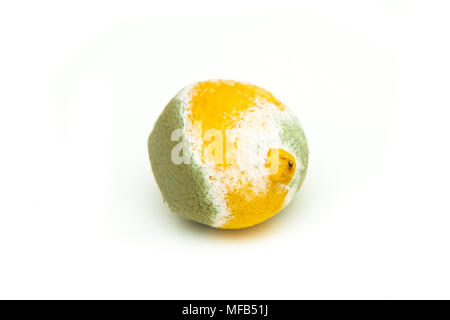 A picture of the rotten lemon. It is half fresh yellow and half green covered with mould. Stock Photo