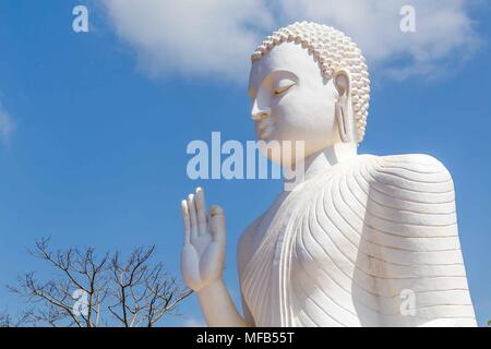 Various Poses of Beautiful Hands. Stock Vector - Illustration of hindu,  hinduism: 268109661