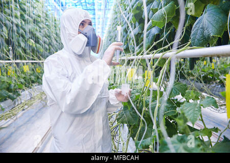 Worker in Hazmat Suit in Greenhouse Stock Photo