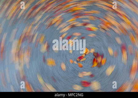 Spin Around camera effect photography art technique Stock Photo