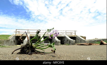 Abandoned Dry Dam located in Meulaboh west Aceh Indonesia Stock Photo