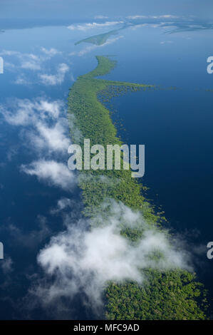 Flooded forest, Anavilhanas Archipelago, Rio Negro, Amazon, Brazil ...